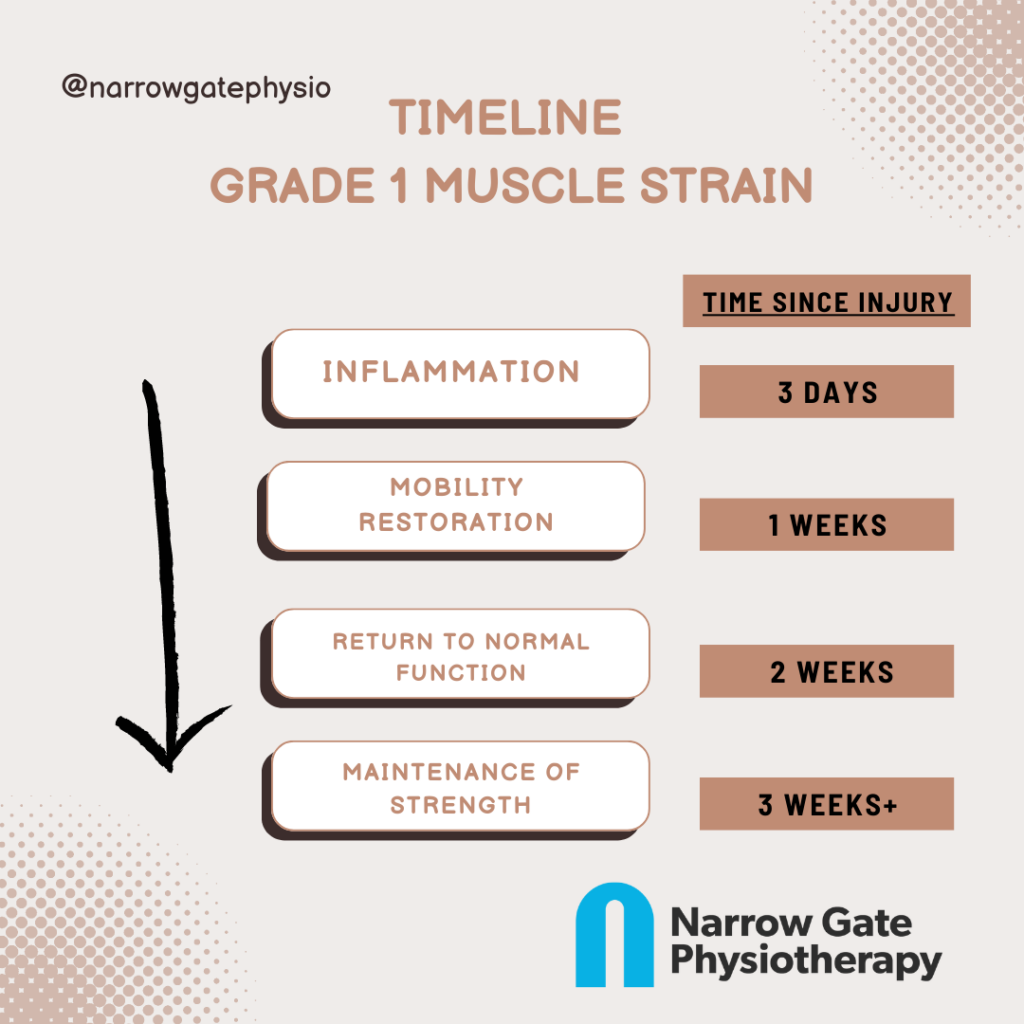 Muscle Strain Physiotherapy Treatment: 4 Stages to Recovery