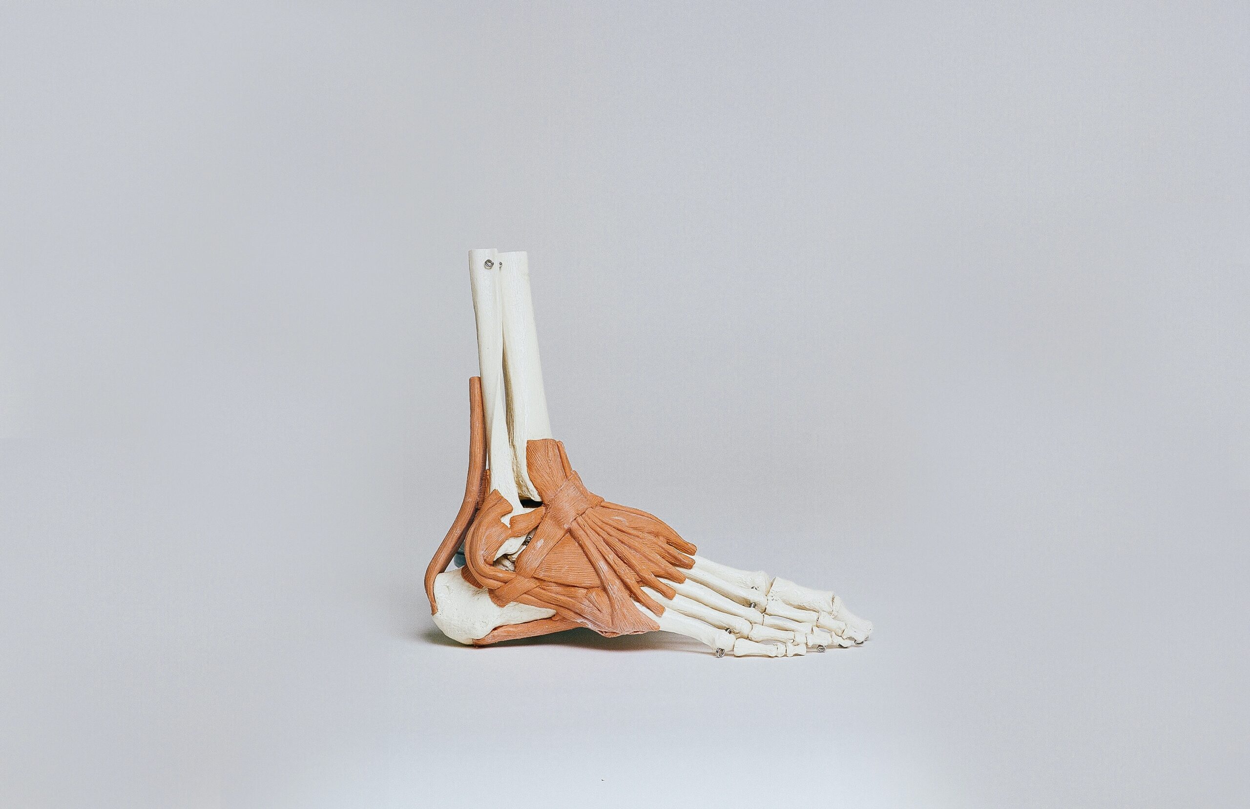 Physiotherapy for Ankle Pain