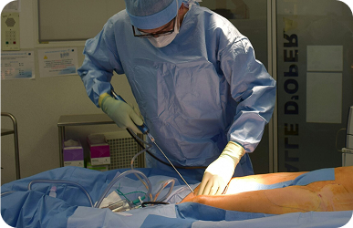 Total Knee Replacement: How Physiotherapists Lead the Way in Regaining Mobility